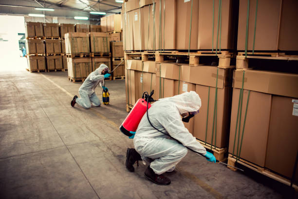 Best Best Pest Control Companies  in South Beach, FL