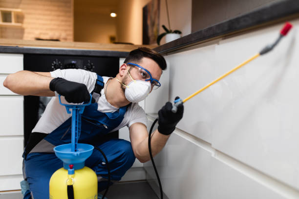 Best Mosquito Control Services  in South Beach, FL