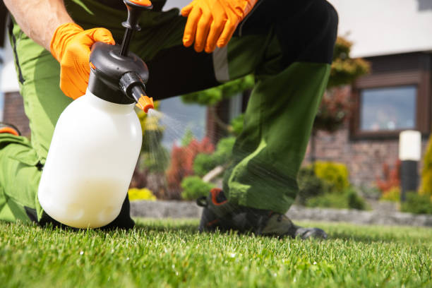 Best Pest Control Treatment  in South Beach, FL