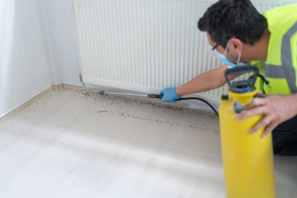 Best Pest Inspection Near Me  in South Beach, FL