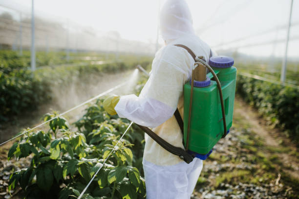 Best Emergency Pest Control  in South Beach, FL
